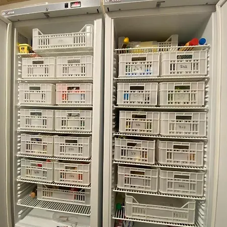 Bohobos Hostel Αντίμπ