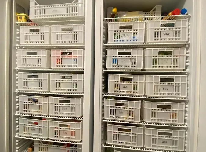 Bohobos Hostel Antibes